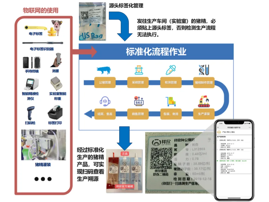 互牧云公猪站系统软硬协同整体解决方案