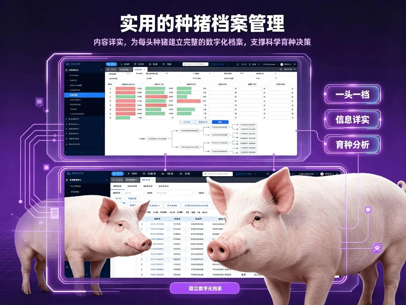 种猪档案管理界面