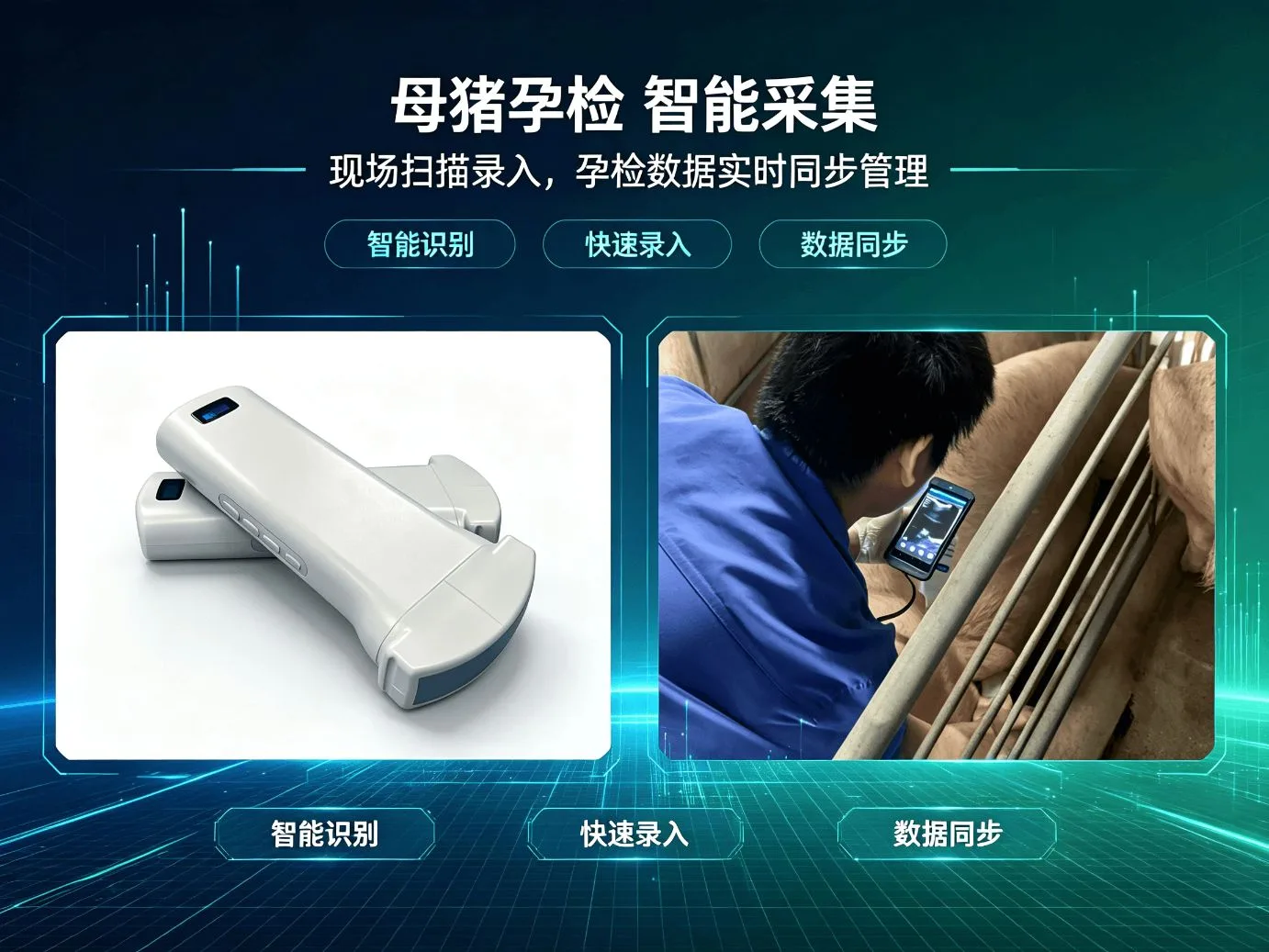 互牧孕检仪母猪测孕
