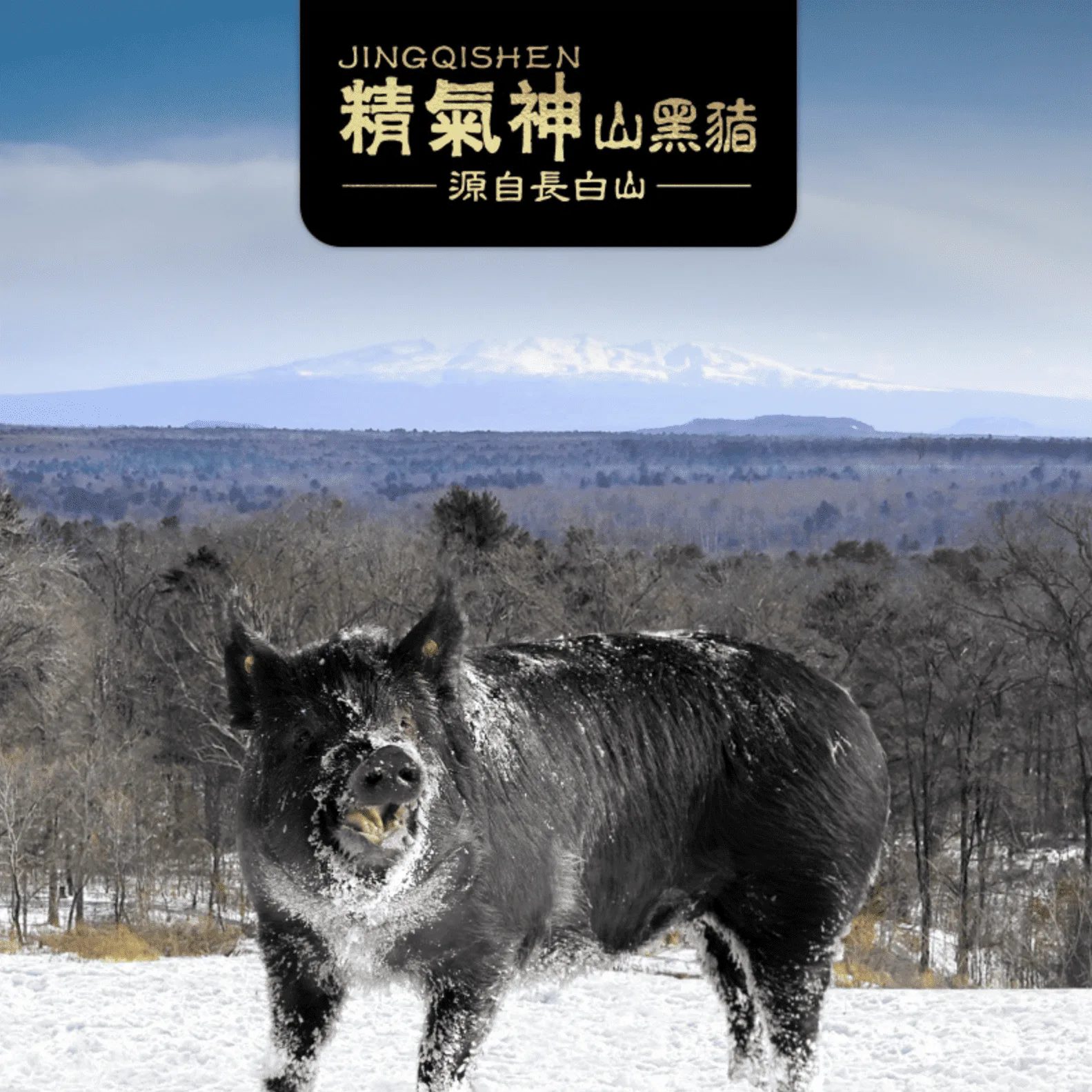 精气神地方品种