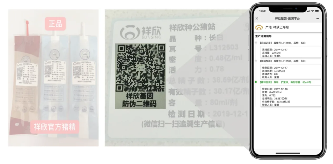 图9 灌装机设备系统和猪精溯源信息