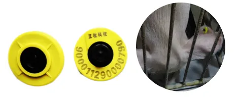 互牧科技持续深耕养猪业,推出商业化公猪站管理系统
