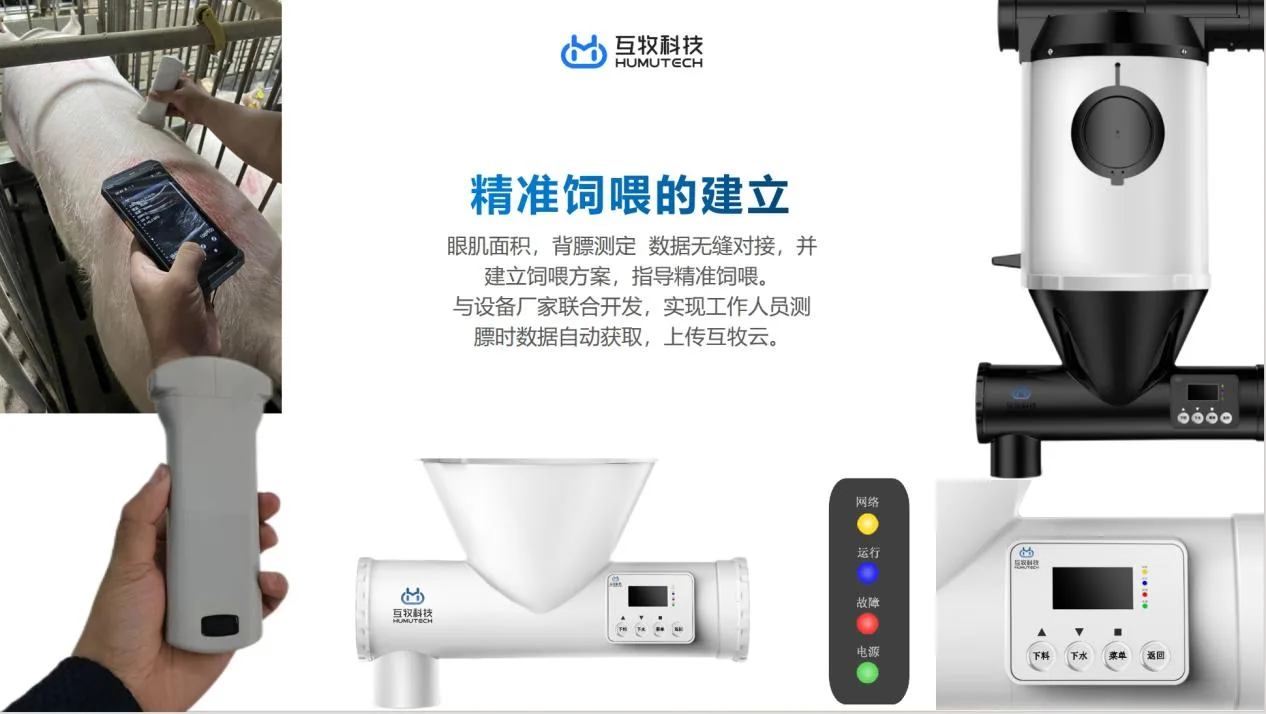图5 互牧B超测膘及精准饲喂系统
