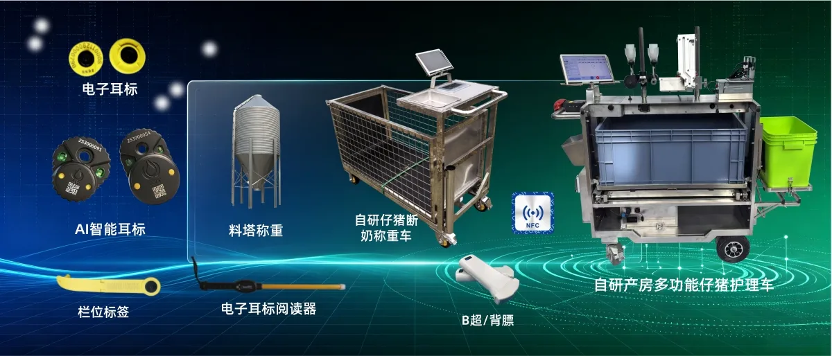 养猪管理软件选型指南:精准避坑,选对适配猪场的智能管理系统